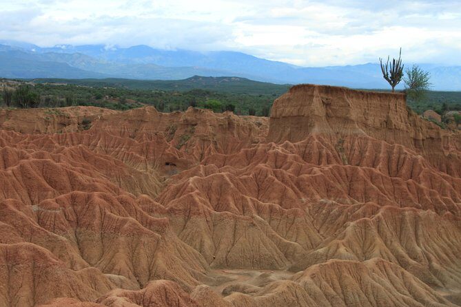 2-Day Private Tour to the Tatacoa Desert from Bogotá – Astronomy - Paleontology museum stop: fossils that make the desert feel real