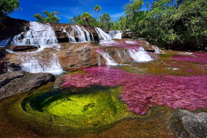 3-Day Caño Cristales (Rainbow River) from Bogotá - Key Highlights That Make This Trip Worth Your Time