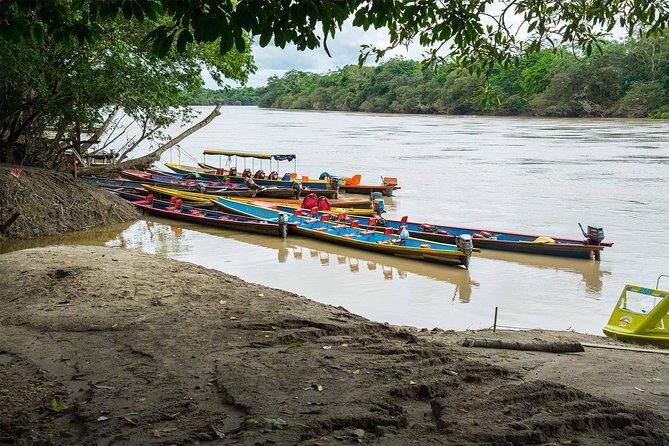 3-Day Caño Cristales (Rainbow River) from Bogotá - Day 2: Boat Ride, Hoatzin Bird, 4x4 Transfers, and the Los Ochos Route