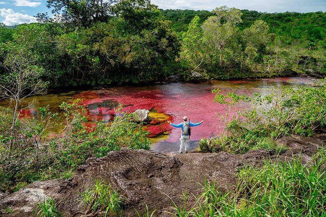 3-Day Caño Cristales (Rainbow River) from Bogotá - Day 3: Llanero Sunrise at the Livestock Complex and Your Flight Home