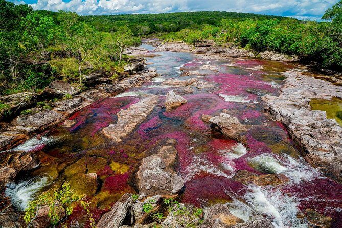 3-Day Caño Cristales (Rainbow River) from Bogotá - Practical Tips: Packing for Heat, Swimming, and the No Single-Use Bottle Rule