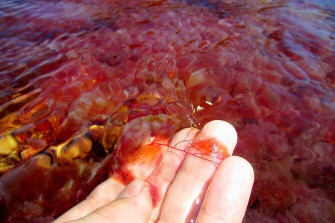 3-Day Caño Cristales (Rainbow River) from Bogotá - Getting to La Macarena From Bogotá (And Why You’ll Feel the Early Start)