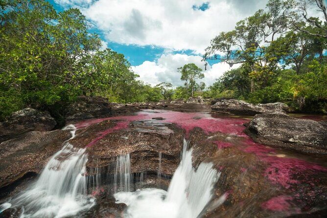3-Day Trip to Caño Cristales from Bogota - Key things I’d plan around