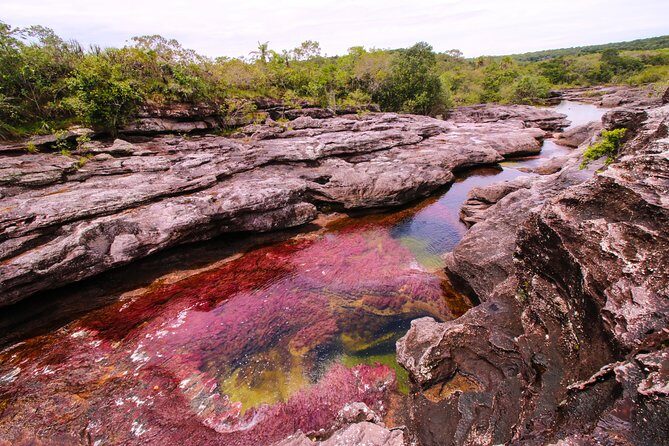 3-Day Trip to Caño Cristales from Bogota - The color rules: season June–November and sun timing