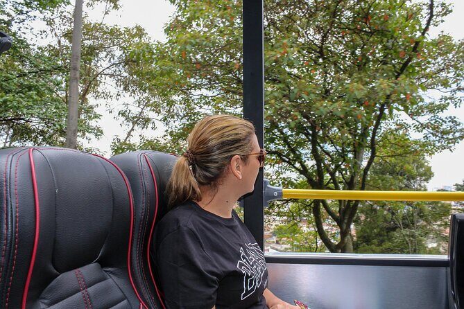3-in-1 Panoramic city tour with walking tour and experiences - Bolívar Square landmarks: cathedral and Palace of Justice viewpoints