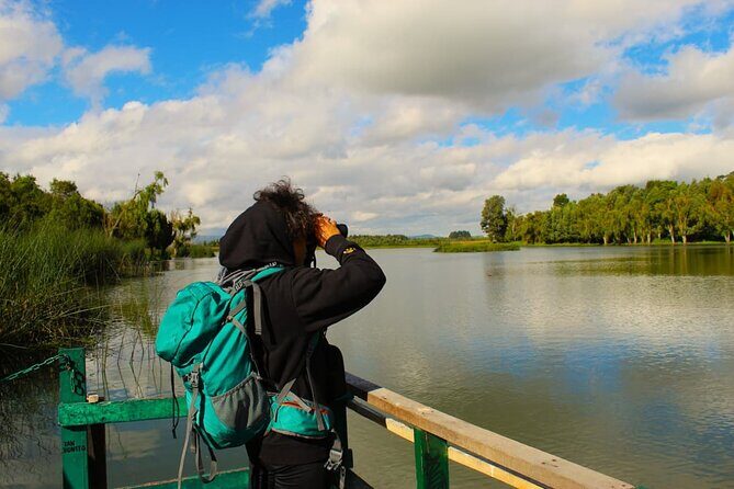 Bird watching in Bogota wetlands with Bakata Bird - Getting Ready: Where You Meet and When to Go