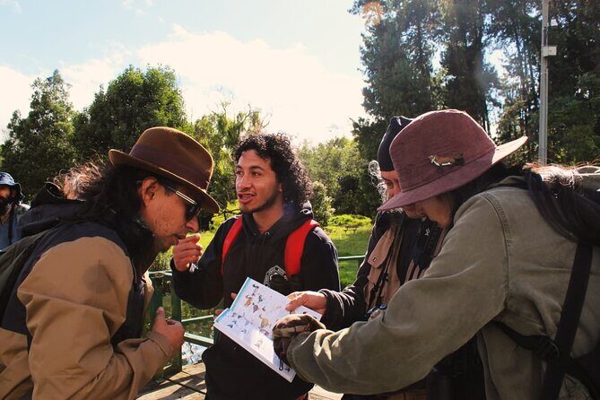 Bird watching in Bogota wetlands with Bakata Bird - What You’ll Actually Do During the 4-Hour Birding Window