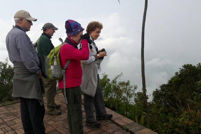 Birding & Nature to Chicaque Cloud Forest Nature Reserve - The birding game plan: feeder stops and call-driven searching