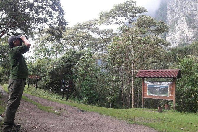 Birding & Nature to Chicaque Cloud Forest Nature Reserve - Getting to the reserve: altitude, habitat, and what you’ll actually see