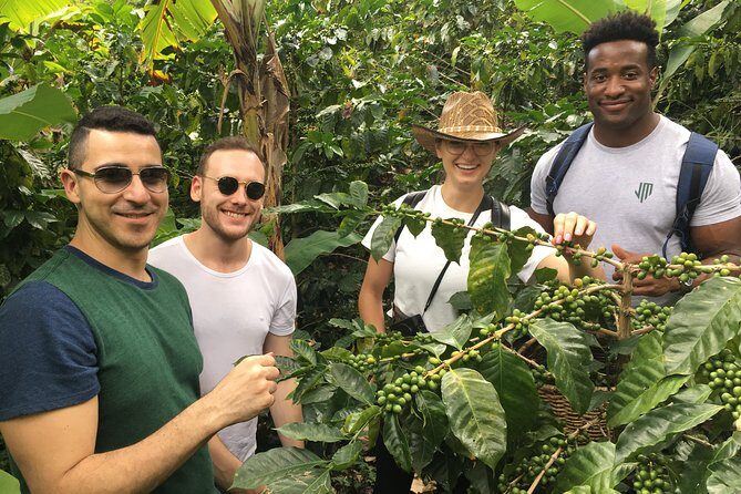 Birds & Beans Traditional Coffee Tour - Quick hits: what makes Birds & Beans different