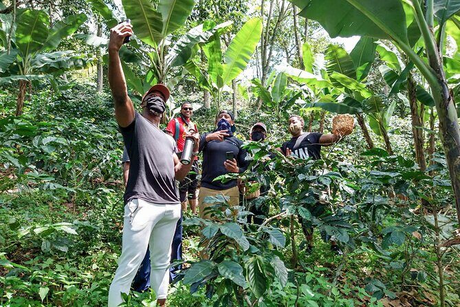 Birds & Beans Traditional Coffee Tour - What you do with the coffee: roast, taste, and learn by doing