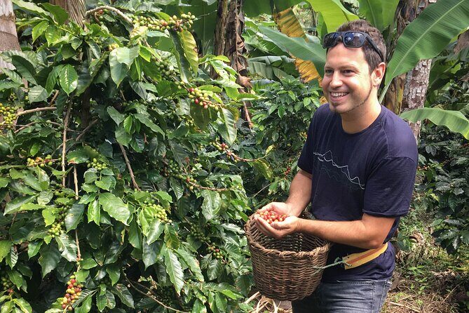 Birds & Beans Traditional Coffee Tour - Cerro de Quinini: the farm day you actually remember