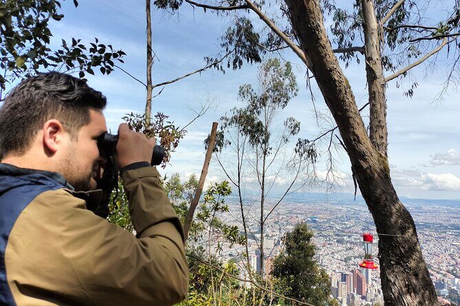 Birdwatching at Monserrate Bogotá 4H - Birding Expert Guidance: How You’ll Actually Learn What You’re Seeing