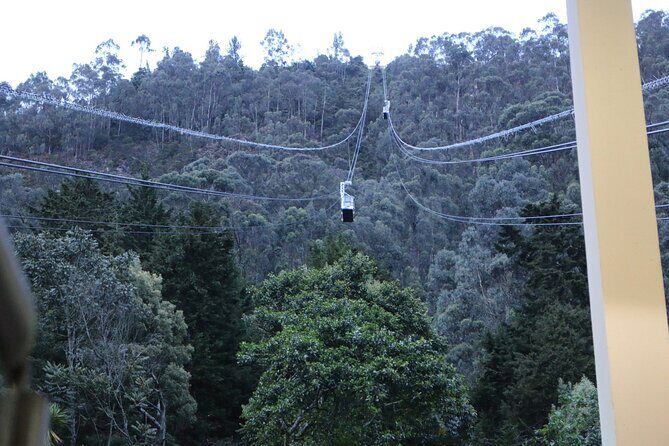 Birdwatching at Monserrate Bogotá 4H - Should You Book It?