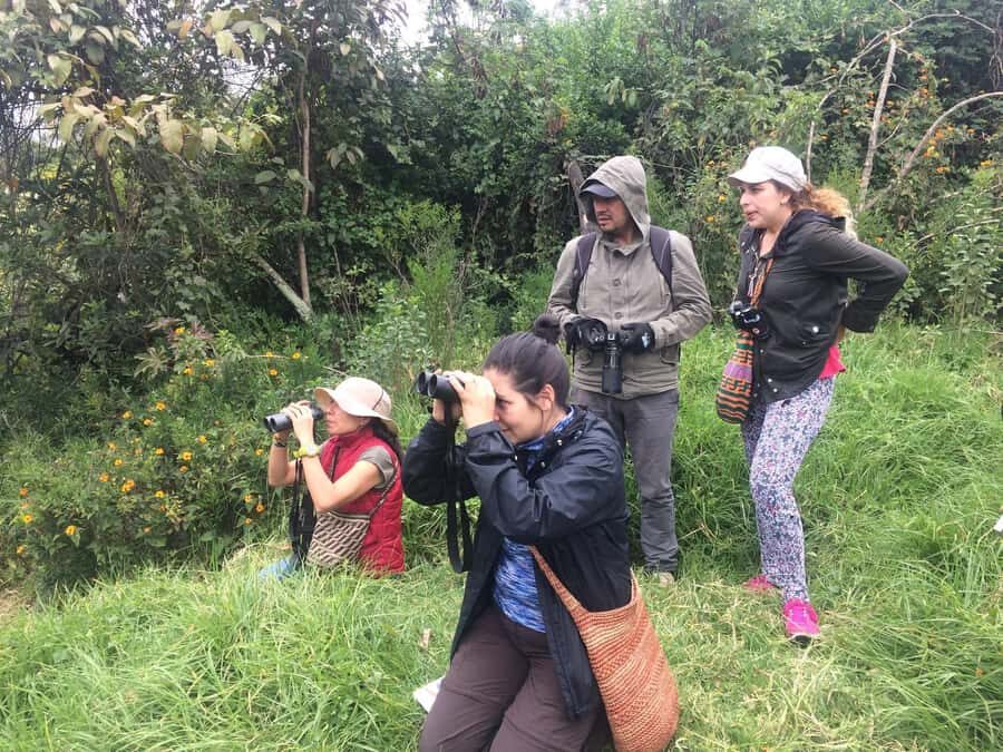 Birdwatching Day Tour at Chicaque Natural Park - Chicaque Natural Park with an expert birder: what the walk feels like