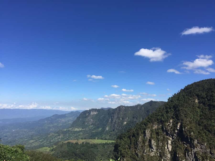 Birdwatching Day Tour at Chicaque Natural Park - Who should book this Chicaque birdwatching day tour