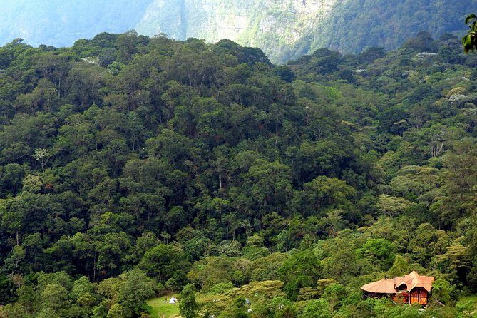 Birdwatching Private Tour at Chicaque Natural Park with Lunch - Key highlights to know before you go