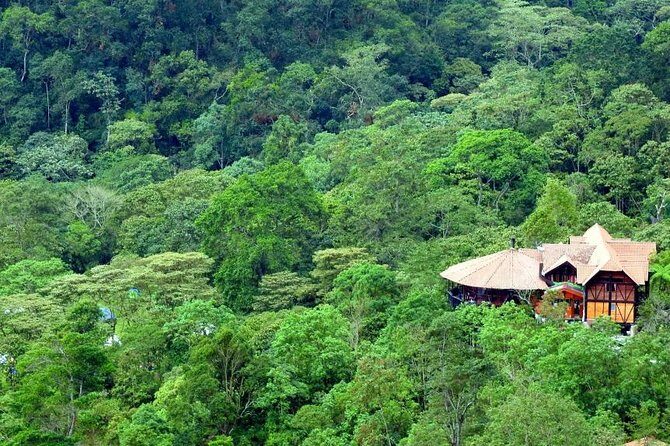 Birdwatching Private Tour at Chicaque Natural Park with Lunch - Walking the park: seven ecosystems, real hiking, and how to prepare