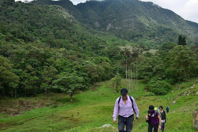 Birdwatching Private Tour at Chicaque Natural Park with Lunch - Lunch at the park: the one detail you must confirm