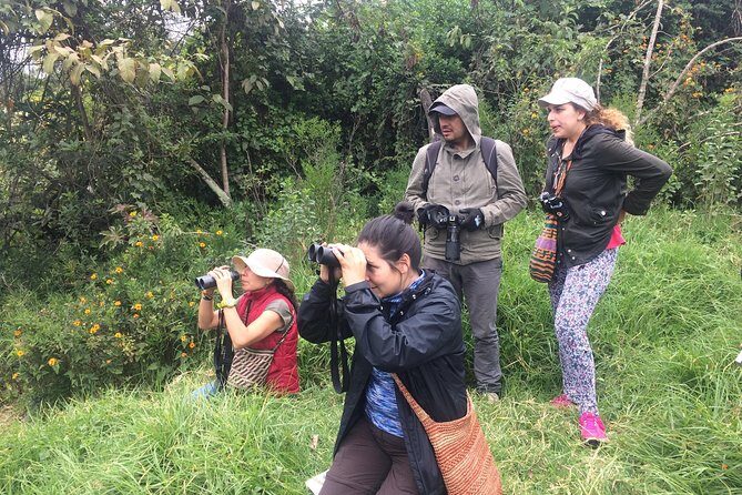 Birdwatching Private Tour at Chicaque Natural Park with Lunch - Binoculars and the little things that change the day