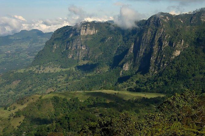Birdwatching Private Tour at Chicaque Natural Park with Lunch - Value check: is $94 per person worth it for this birdwatching day?