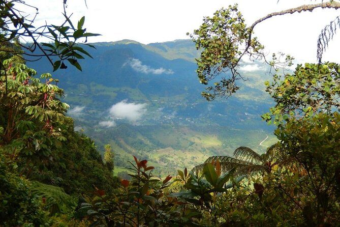 Birdwatching Private Tour at Chicaque Natural Park with Lunch - Getting there: pickup, time on the trails, and what to expect in transit