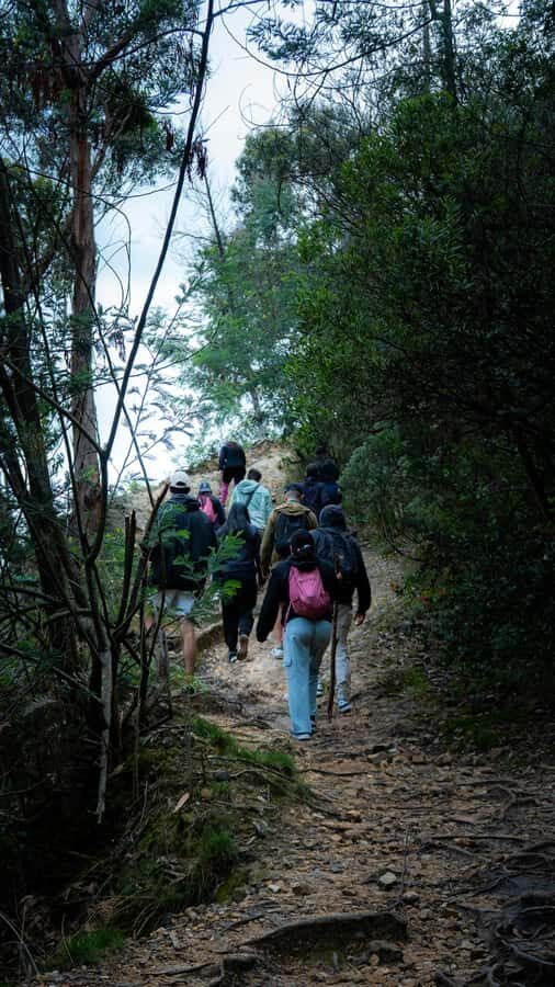 Bogota: East Hills Mountain Hike - Who Should Book This Hike (and Who Should Skip It)