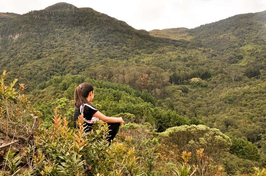 Bogota: East Hills Mountain Hike - Moyas Viewpoints: The Moment the Effort Clicks
