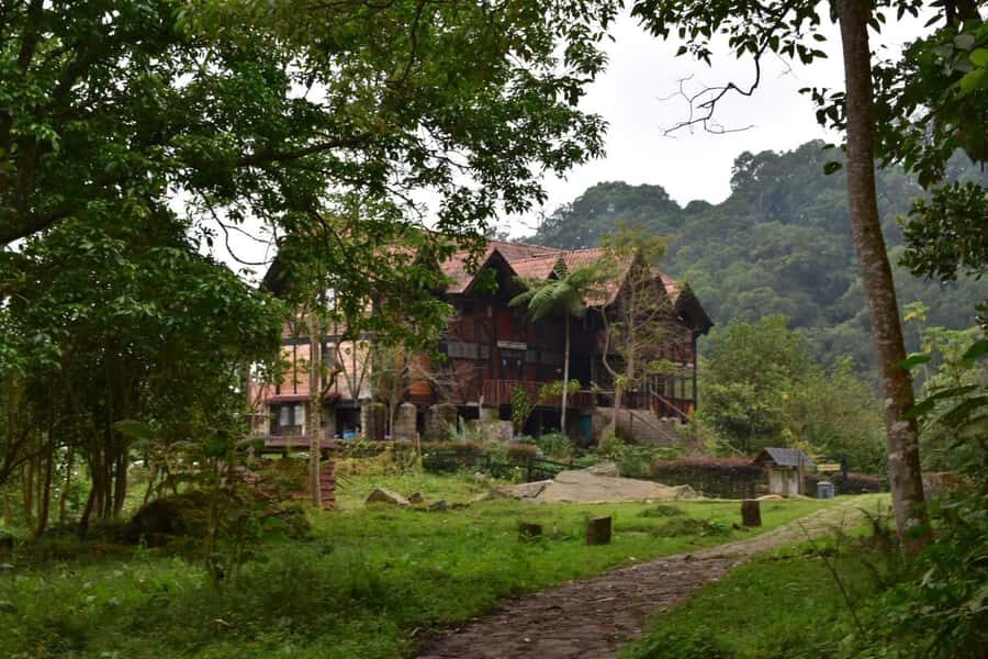 Bogota: Explore the forest and bird watching at Chicaque Natural Park - Key things to know before you go