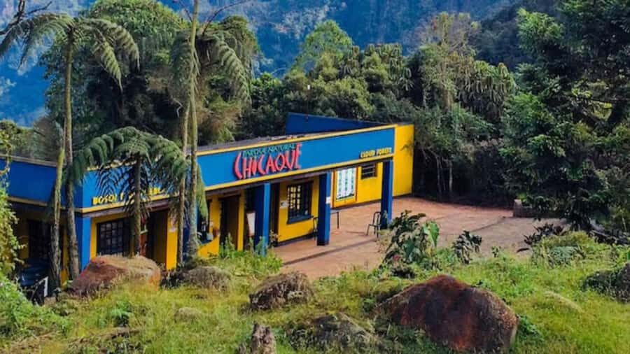 Bogota: Explore the forest and bird watching at Chicaque Natural Park - Chicaque Natural Park near Bogota: what makes a cloud forest special