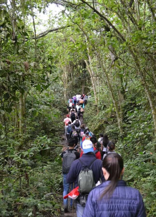 Bogota: Explore the forest and bird watching at Chicaque Natural Park - Guided hikes on selected trails: orchids, small mammals, and real birding time