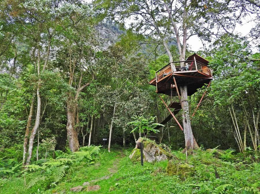Bogota: Explore the forest and bird watching at Chicaque Natural Park - The Chicaque Waterfall hike: when the sound does half the work