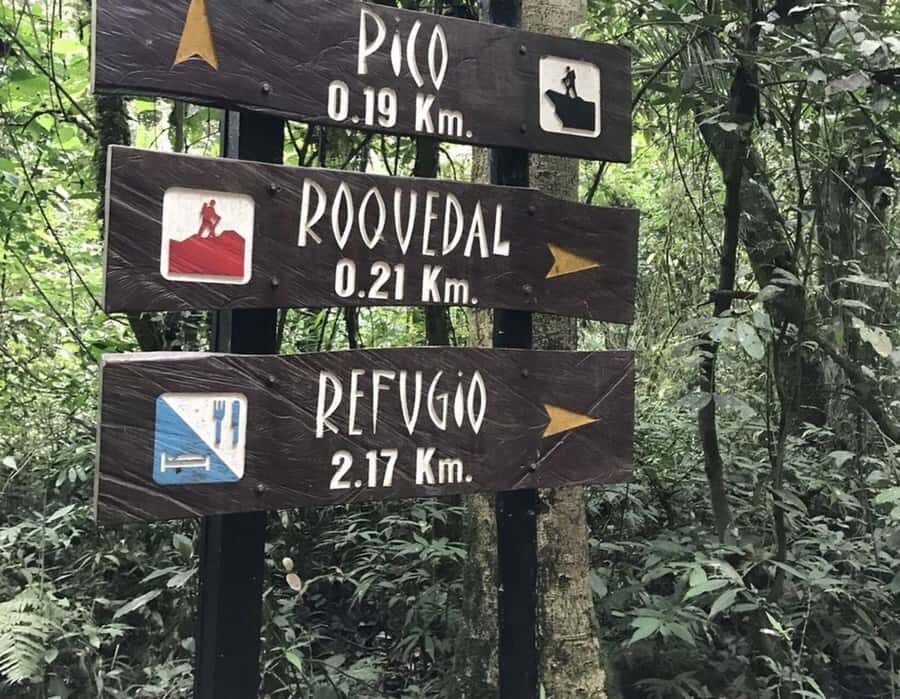 Bogota: Explore the forest and bird watching at Chicaque Natural Park - Lunch in nature: a scenic pause plus time to keep exploring