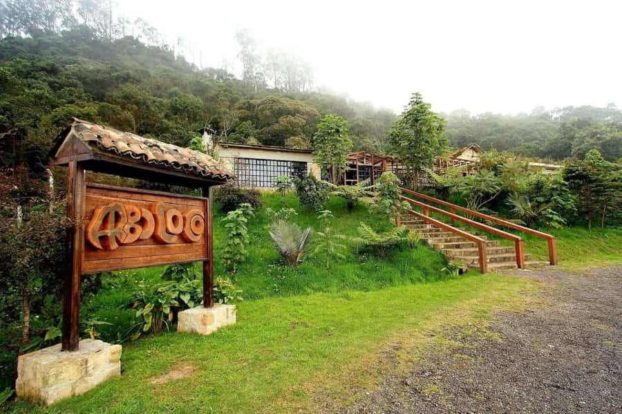 Bogota: Explore the forest and bird watching at Chicaque Natural Park - What you actually get for the $127 price