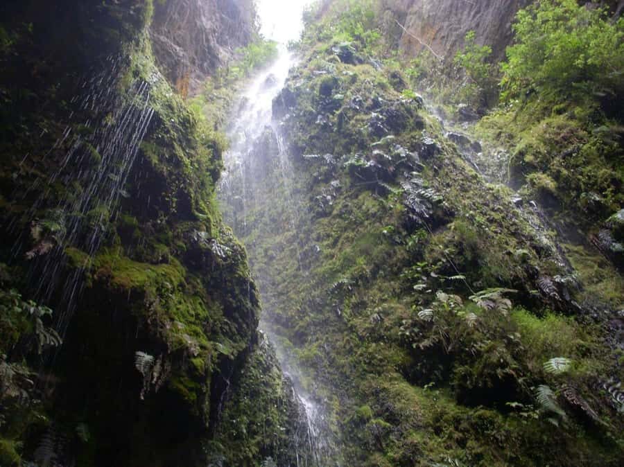 Bogota: Explore the forest and bird watching at Chicaque Natural Park - What to bring (and what to skip) for a comfortable day