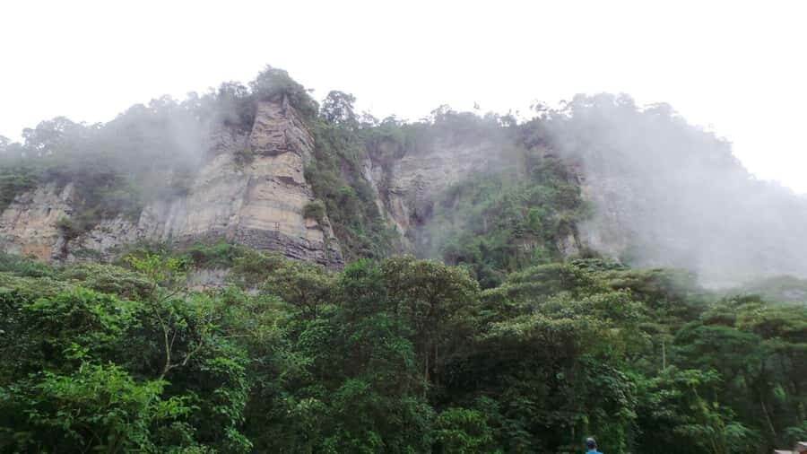 Bogota: Explore the forest and bird watching at Chicaque Natural Park - Who should book this Chicaque birding and waterfall day