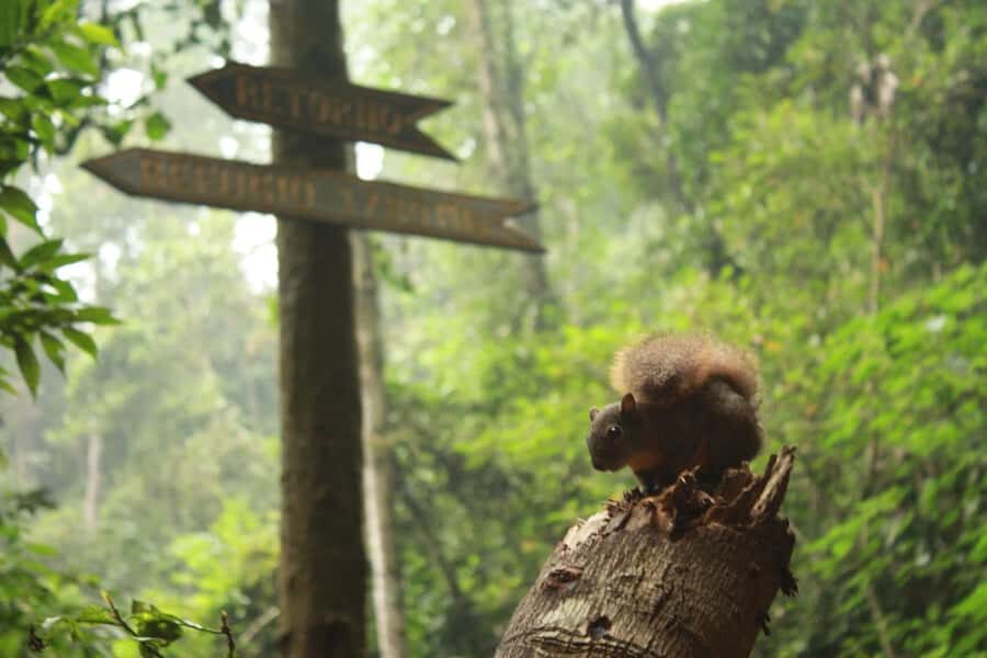 Bogota: Explore the forest and bird watching at Chicaque Natural Park - Getting there fast: private transport and panoramic mountain views