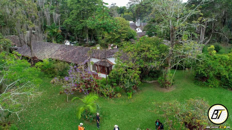 Bogotá: Guided Coffee Tour with Lunch, and Pickup & Drop-Off - Hacienda Coloma: Native Plants, Coffee Plants, and the Real Work