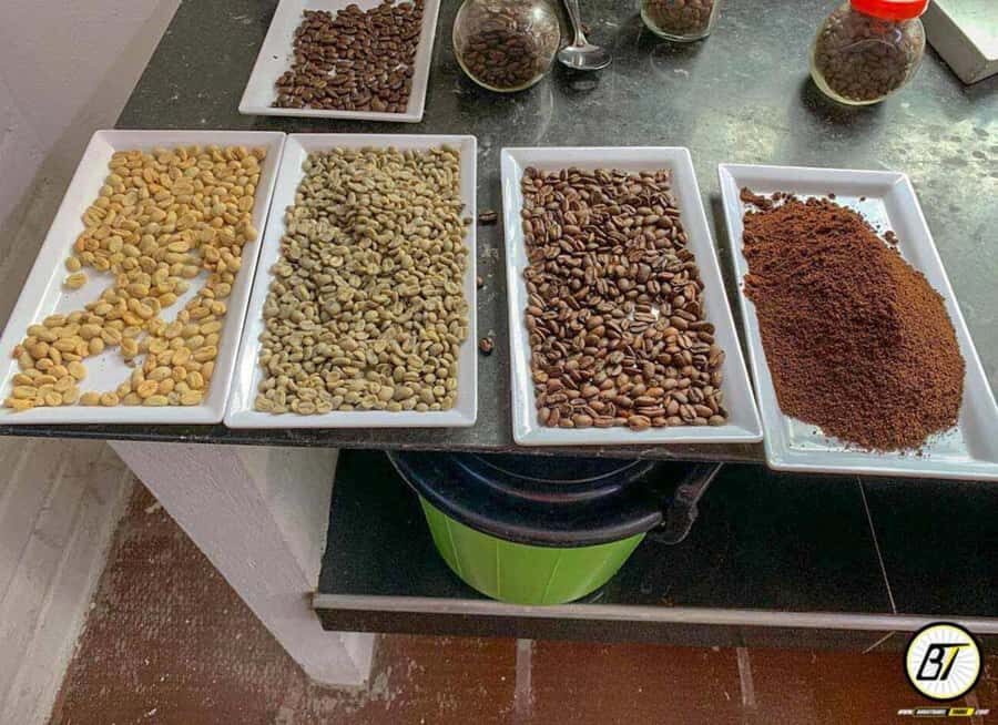 Bogotá: Guided Coffee Tour with Lunch, and Pickup & Drop-Off - Bogotá to Fusagasugá: Plan for Time, Not Distance