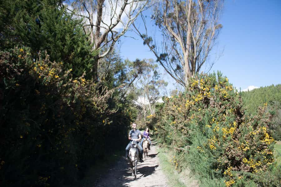 Bogota: Horseback Riding Tour - Key things to know before you go