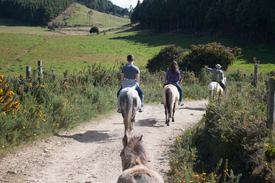 Bogota: Horseback Riding Tour - The Horses and the Guide: Why This Ride Feels Doable