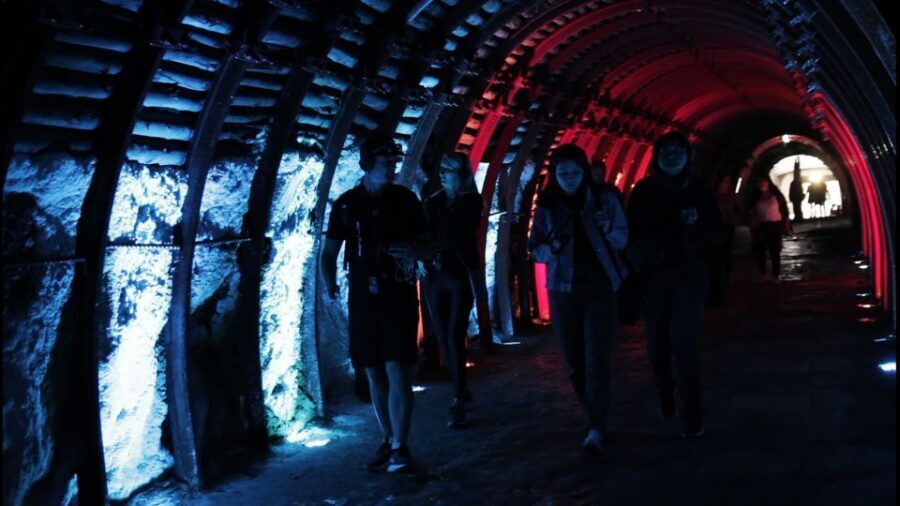 Bogotá: Salt Cathedral Private Tour with Entry Ticket Basic - Private Pickup From Bogotá: Less Stress, More Daylight Moments