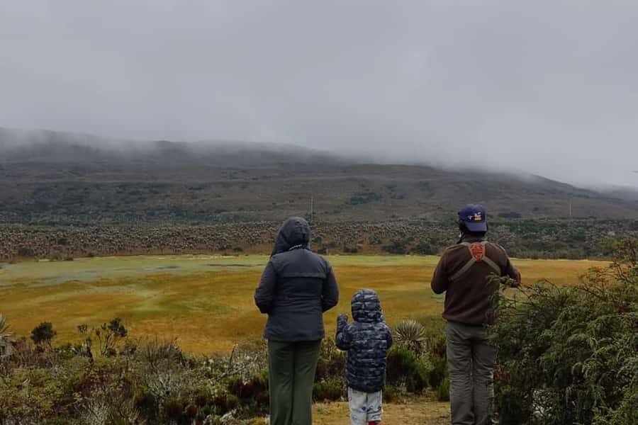 Bogotá: Sumapaz National Park Hike Tour - Key things worth your attention