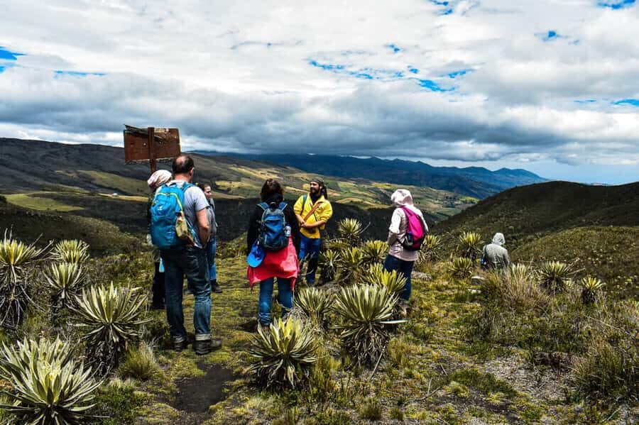 Bogotá: Sumapaz National Park Hike Tour - The Trek Itself: Mud, Mist, and What You Should Bring