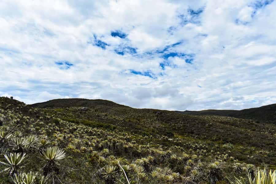 Bogotá: Sumapaz National Park Hike Tour - The Pace, the View Chances, and Group Format