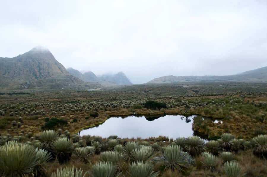 Bogotá: Sumapaz National Park Hike Tour - Getting Out of Bogotá: Pickup, Drive, and Altitude Reality