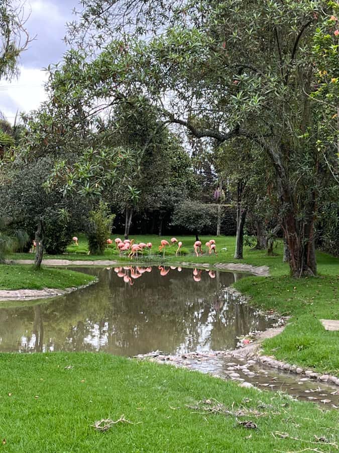 BOGOTA: Tour of Jaime Duque Park, Zoo, and Aerospace Museum - Aerospace Museum: aviation and space history (with one important caveat)