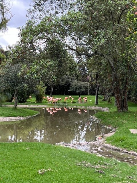 BOGOTA: Tour of Jaime Duque Park, Zoo, and Aerospace Museum - Theater show and park free time: how to use the last stretch