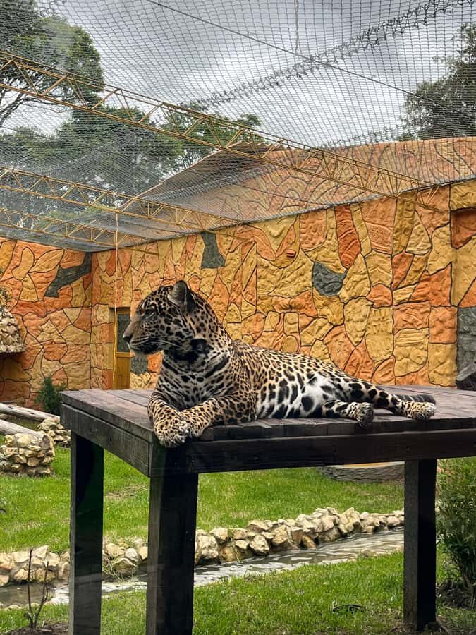 BOGOTA: Tour of Jaime Duque Park, Zoo, and Aerospace Museum - Price and value: what $117 really includes