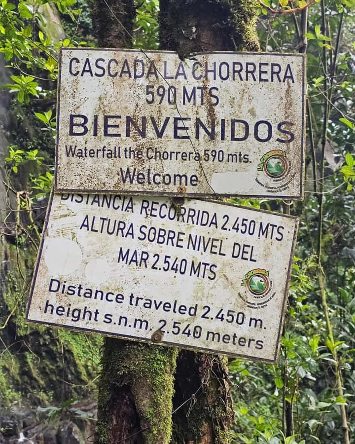 Bogotá: Visit Colombia's Highest Waterfalls & Guadalupe Hill - Key takeaways